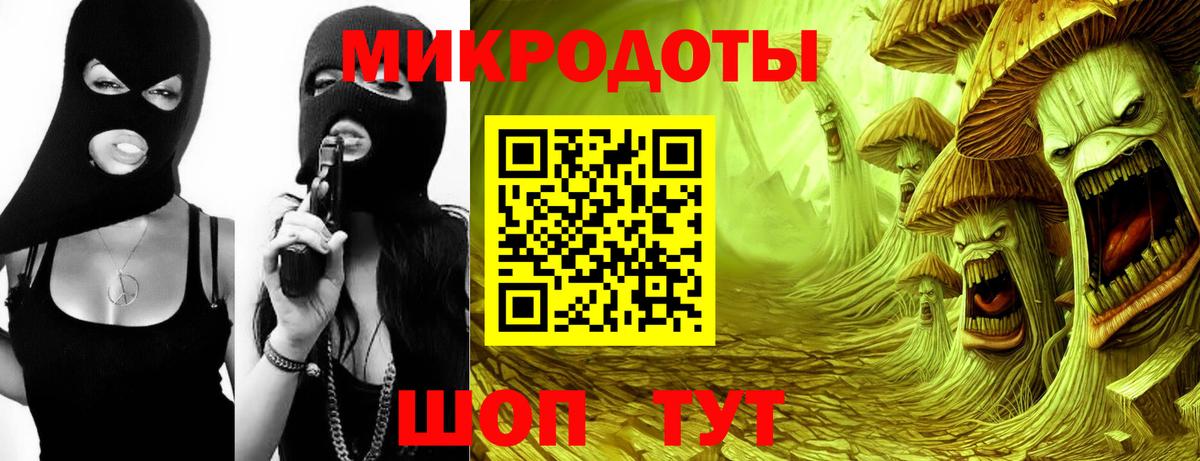 Псилоцибиновые грибы Psilocybe  Вход с VPN  Нижний Тагил  Галлюциногенные грибы мухоморы 